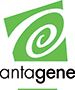 ANTAGENE 